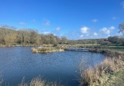 Lake / Pond, Coronavirus-Friendly