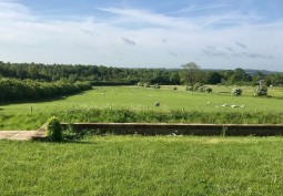 Woodland, Field (Farmland)