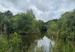 Lake / Pond at Architectural Salvage Yard For Filming, Hertfordshire