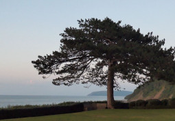 Sea / Beach View