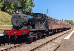 Train, Coronavirus-Friendly