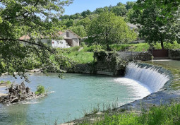 Lake / Pond, River / Stream