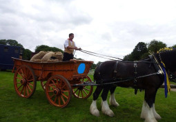 Horse, Mode of transport at Horse Drawn Trailers And Equipment For Filming, Cumbria