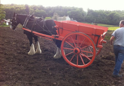 Horse, Cart at Horse Drawn Trailers And Equipment For Filming, Cumbria