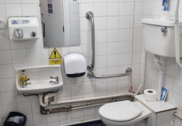 Toilet, Disability Features