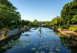 Lake / Pond