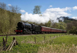 Train, Coronavirus-Friendly