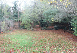 Leaf, Grass at Georgian Terrace Home For Filming, Berkshire