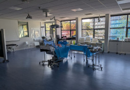 Hospital / Surgery