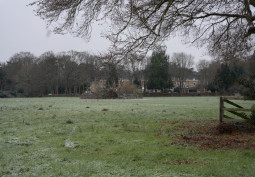 Fields