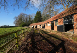 Stables