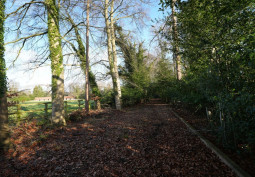 Woodland