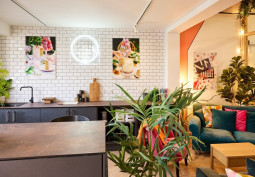 Kitchen, Reception
