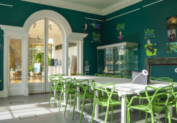 Diningroom, Meeting Room, Windows, Colourful