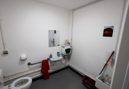 Toilet, Disability Features