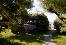 Sea / Beach View, Props / Feature, Lawn, Bar (Home)