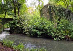 Ruins, Woodland, Bridge, River
