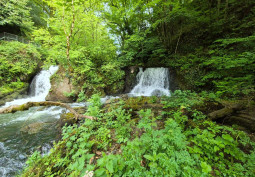 Water Feature