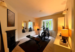 Fireplace, Gym (Home)