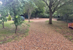 Car-park, Woodland, Car Park (Open Air)