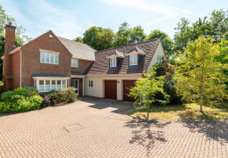 Driveway, House / Cottage Exterior