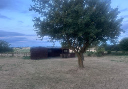 Fields, Garden (Rear, Large)