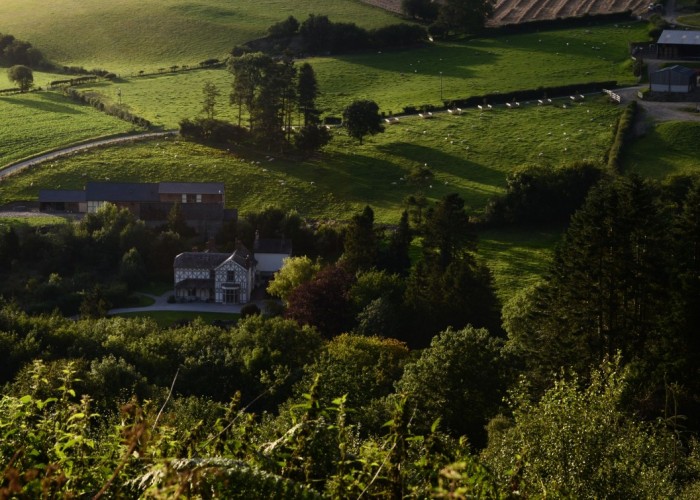 35. Countryside View