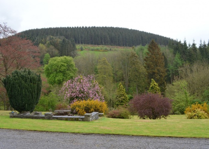 29. Countryside View