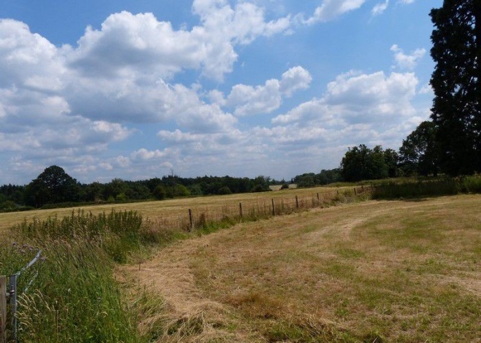8. Wilderness