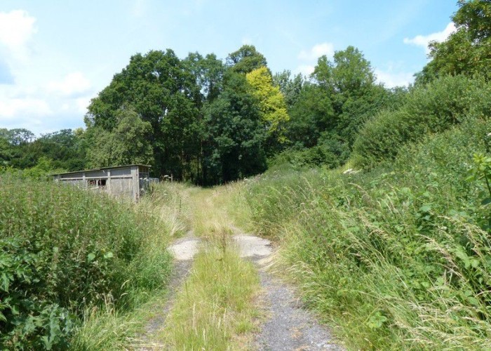 38. Track / Lane