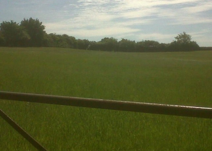 5. Fields