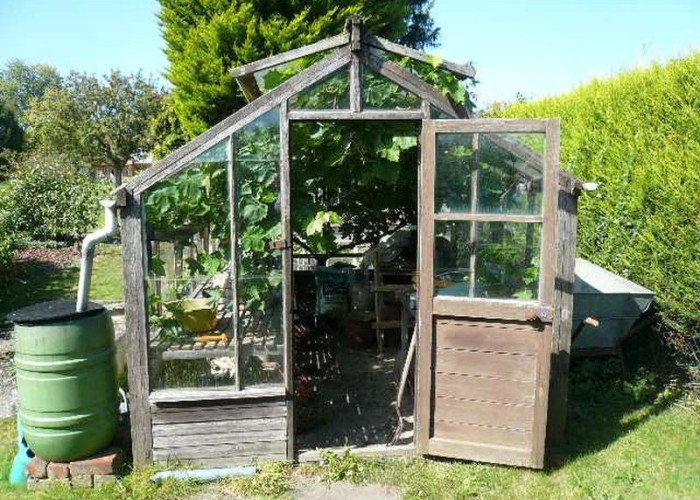 62. Greenhouse