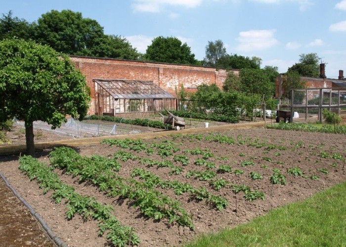 42. Allotment
