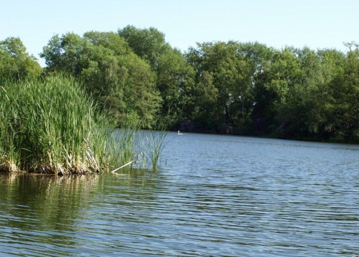48. Lake / Pond