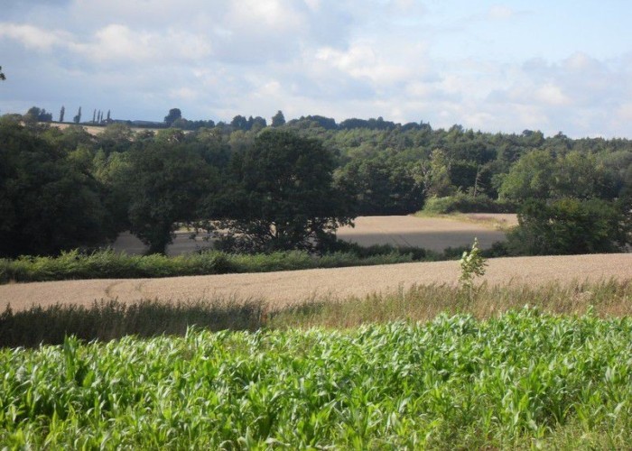 53. Countryside View