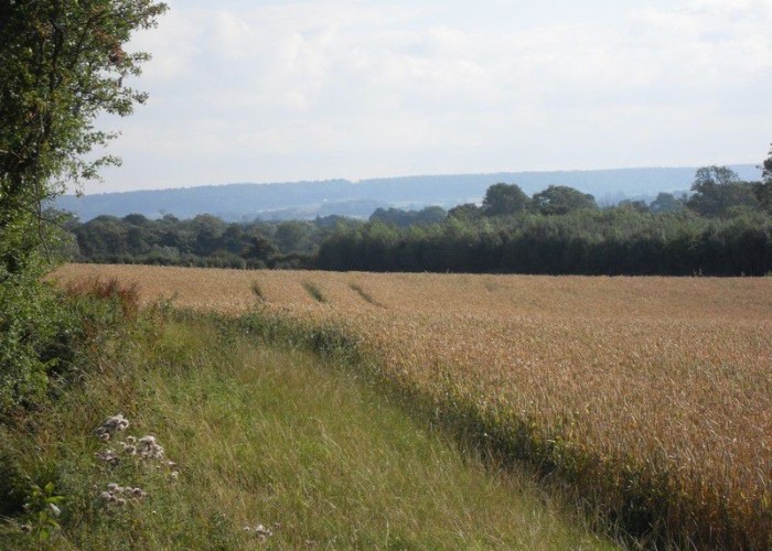 56. Countryside View