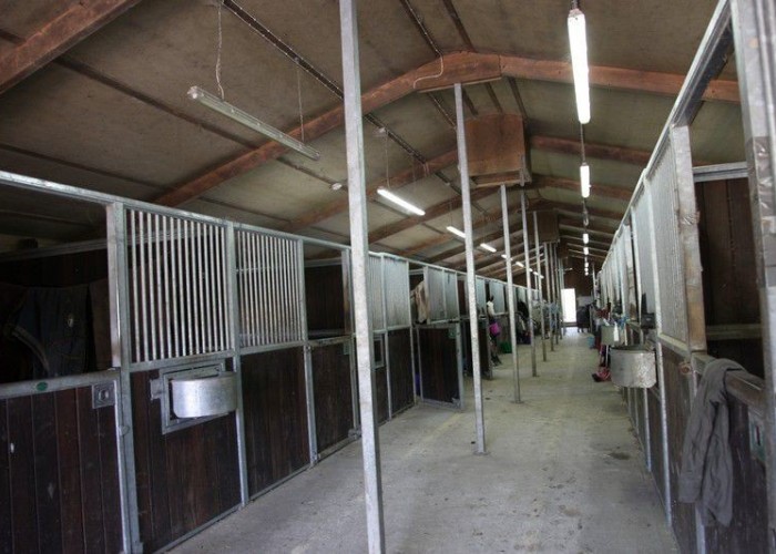 4. Stables