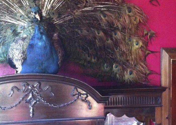 9. Props / Feature