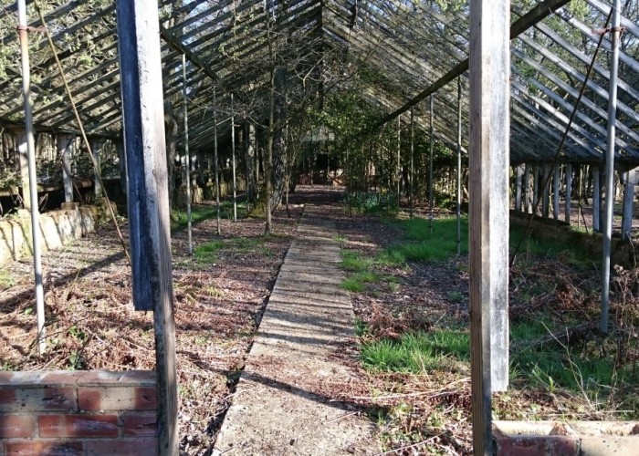 3. Greenhouse