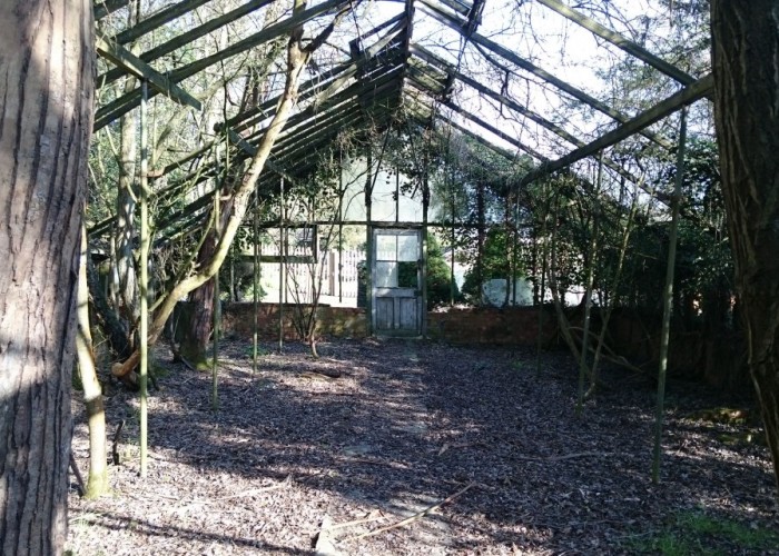 7. Greenhouse