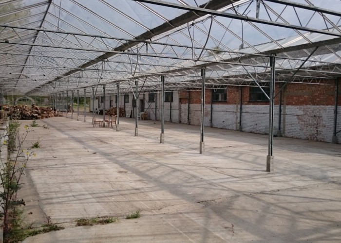 120. Greenhouse