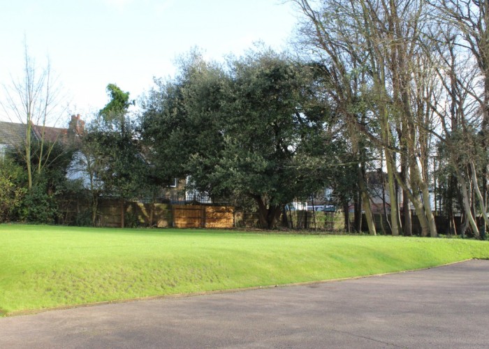 46. Lawn