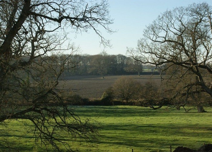 50. Countryside View