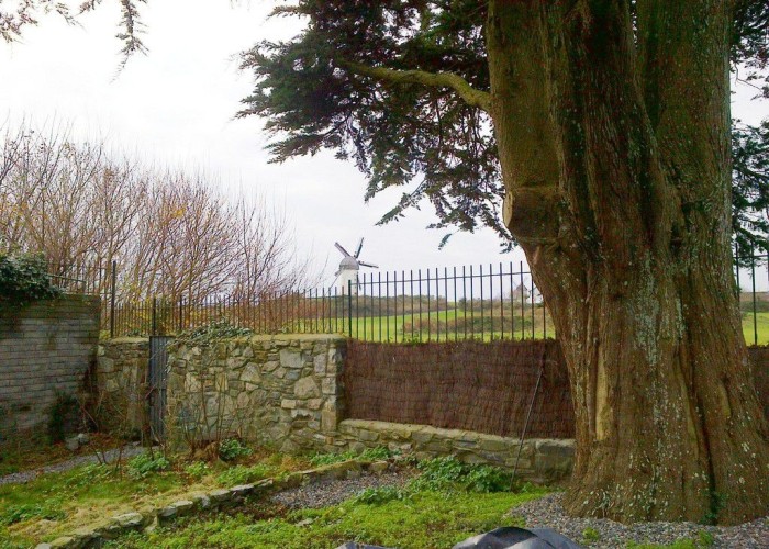 39. Countryside View