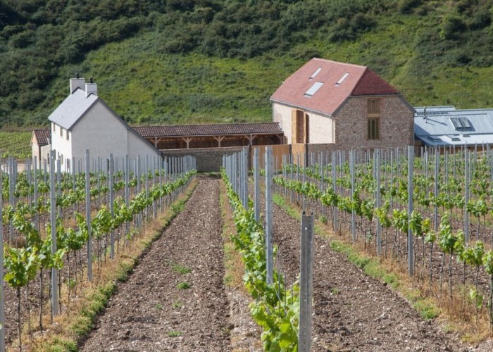 8. Farm