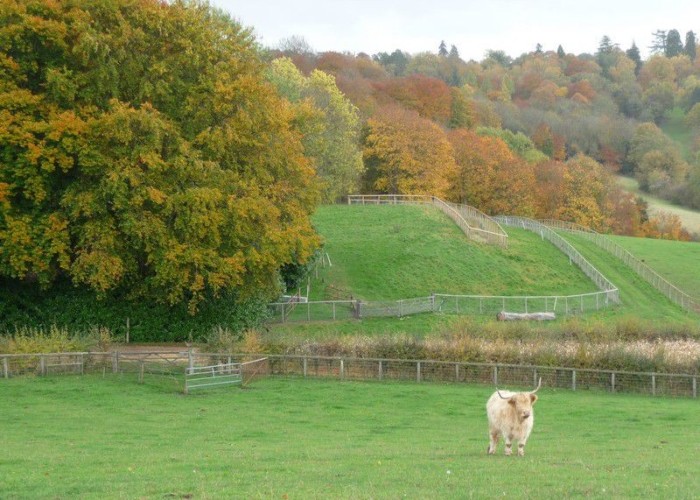 9. Countryside View