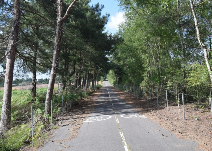 5. Road / Street