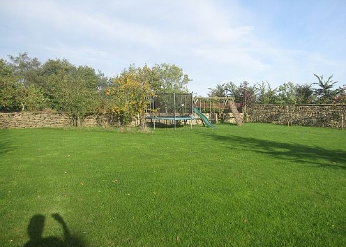 6. Fields