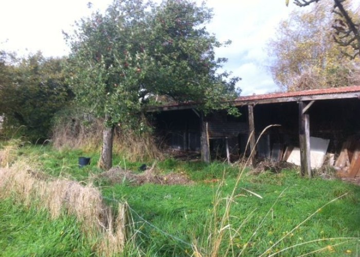 9. Shed