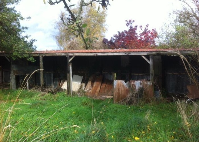 7. Derelict